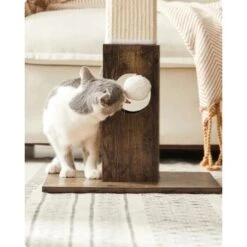 FEANDREA Katzenkratzbaum Kratzsäule 73cm -ROYAL CANIN Verkaufsgeschäft 011120cba8789320a75b230d3b90b8814d7c764c 1483578 de DE e037a8954e76e323e540d1ec597d6182a987795ehLWNuf