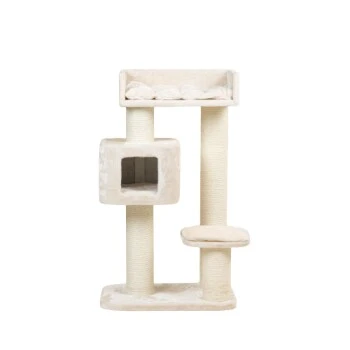 RHR Quality Kratzbaum Devon Rex 1 RHR Quality Kratzbaum Devon Rex