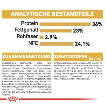 ROYAL CANIN Maine Coon Kitten 4 Kg 2 ROYAL CANIN Maine Coon Kitten 4 Kg – Bild 2