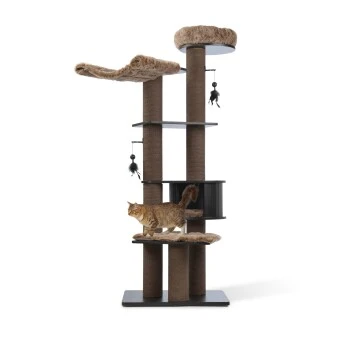 MORE Kratzbaum Harry 8 MORE Kratzbaum Harry – Bild 8