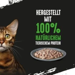 CRAVE Multipack Mit Huhn Und Mit Thunfisch 60 X 85g 8 CRAVE Multipack Mit Huhn Und Mit Thunfisch 60 X 85g -ROYAL CANIN Verkaufsgeschäft 06f06c34719f87998a7687bec7b9a7b922c28a30 1390281 de DE crave multipack huhn thunfisch 3