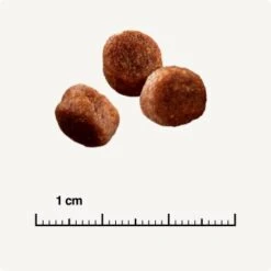 SELECT GOLD Digestion Senior Geflügel Und Reis 2,5kg -ROYAL CANIN Verkaufsgeschäft 0999645de19e34aac9b2c14ea642717fe4bc62d2 1001086008 de DE 6