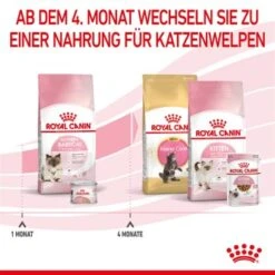 ROYAL CANIN Mother & Babycat 2 Kg 10 ROYAL CANIN Mother & Babycat 2 Kg -ROYAL CANIN Verkaufsgeschäft 0fe8497acfc1380792b3bad8590087c6f2d67d34 3182550707329 6
