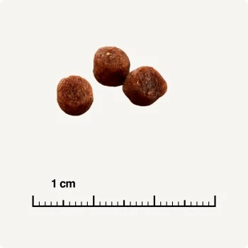 SELECT GOLD Kitten Geflügel Mit Reis 3 Kg 5 SELECT GOLD Kitten Geflügel Mit Reis 3 Kg – Bild 5