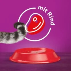 Whiskas Beutel 1+ Mit Rind 3,8kg -ROYAL CANIN Verkaufsgeschäft 1d60da5b88caff631258565a34c388c461f97b47 1226411 de DE 05900951258770 C1L1 s01 v01 3 4
