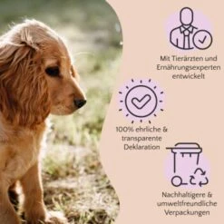 FAVLY Petfood PURE Bites Hirsch 360 G -ROYAL CANIN Verkaufsgeschäft 236dbc85f5fb75ec5fb4367bde1445e3087ffdcd 1474003 de DE 80624b888460a5c29f043365a19496292e44fd84TlIvR8