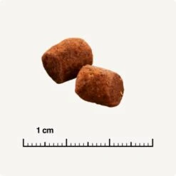 SELECT GOLD Indoor Adult Geflügel & Reis 7 Kg -ROYAL CANIN Verkaufsgeschäft 26d8ffb703c60b41462e69b68e028f8315fee50f 1243348 de DE 6