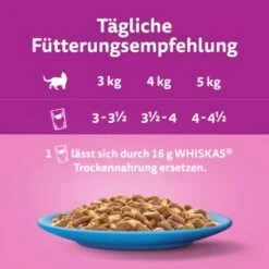 Whiskas Jumbo Pack 1+ Fisch Auswahl In Gelee 80 X 85g -ROYAL CANIN Verkaufsgeschäft 27393c6f070954de8517b14da99923a6e9b7c78e 1410724 de DE Whiskas 2