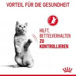 ROYAL CANIN Appetite Control Care 12 X 85 G 14 ROYAL CANIN Appetite Control Care 12 X 85 G -ROYAL CANIN Verkaufsgeschäft 2baff52405d772a15eb8921bf3aeded5540de702 1344684 1