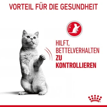 ROYAL CANIN Appetite Control Care 12 X 85 G 3 ROYAL CANIN Appetite Control Care 12 X 85 G – Bild 3
