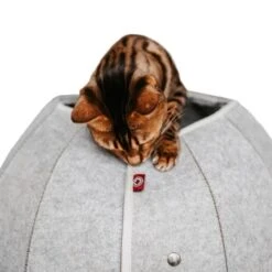 Canadian Cat Company Katzenhöhle In Kugelform S 11 Canadian Cat Company Katzenhöhle In Kugelform S -ROYAL CANIN Verkaufsgeschäft 2ecb868df2d3b2cf90a9092caebd3c19caa20008 1347679 de DE 9620a1f8944edc55aec2b992d490644e015c022abD41s1