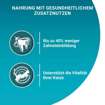 Purina ONE Bifensis Adult Huhn & Vollkorngetreide 5,7 Kg 2 Purina ONE Bifensis Adult Huhn & Vollkorngetreide 5,7 Kg – Bild 2