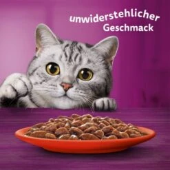 Whiskas Jumbo Pack 1+ Klassische Auswahl In Sauce 80 X 85g -ROYAL CANIN Verkaufsgeschäft 3358e429db606f0ebe5774678dd71494a01905e3 1410721 de DE Whiskas 6