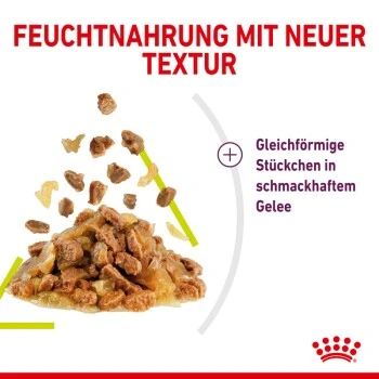 ROYAL CANIN SENSORY Smell In Gelee Für Wählerische Katzen 12x85g 3 ROYAL CANIN SENSORY Smell In Gelee Für Wählerische Katzen 12x85g – Bild 3