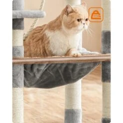 FEANDREA Kratzbaum 143cm Rauchgrau Hellgrau 13 FEANDREA Kratzbaum 143cm Rauchgrau Hellgrau -ROYAL CANIN Verkaufsgeschäft 37be2f2514570ac16abd583e226c37e3942fb95e 1483593 de DE a6645c1e24d592fa2f7e2898455d81c2be2800bf3QlXOx