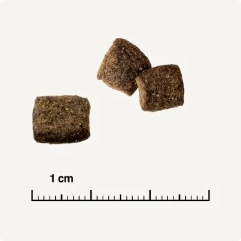 REAL NATURE WILDERNESS Adult Mixpaket Mixpaket 1, Mix-Pack 3 REAL NATURE WILDERNESS Adult Mixpaket Mixpaket 1, Mix-Pack – Bild 3