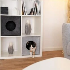 Lionto Katzenhöhle Aus Filz, Regalhöhle Hellgrau 10 Lionto Katzenhöhle Aus Filz, Regalhöhle Hellgrau -ROYAL CANIN Verkaufsgeschäft 3c5d584027a6e3b26513e541aa58d28bf163eba5 1657088 de DE 08ba330c4edc4dd9925351943ddeb35e95610dc5ibJstM