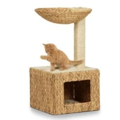 Silvio Design Wohnboy Casa 8 Silvio Design Wohnboy Casa -ROYAL CANIN Verkaufsgeschäft 3d13aedb09c430b7906392a18e819ca578a71945 3f31b7aa02a829b9df6df2a4912c46a83b00e0a4