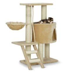 Silvio Design Kratzbaum Jack 8 Silvio Design Kratzbaum Jack -ROYAL CANIN Verkaufsgeschäft 3d4872fbba455327a9f4f7e7619f541abd909818 2bf2b8bd269a8faf6fc970d9bd2152b9e44ff4a5
