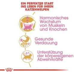 ROYAL CANIN British Shorthair Kitten 2 Kg 11 ROYAL CANIN British Shorthair Kitten 2 Kg -ROYAL CANIN Verkaufsgeschäft 3feab8717345fb55fe890c564cd1933a92234494 8fcb8d730ecfafe8fb567de5d1188cbf674cf65f