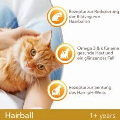 IAMS Vitality Adult Hairball Huhn 10 Kg -ROYAL CANIN Verkaufsgeschäft 401ab652809dfedce7c59c99ad81fce5347594eb 334b64ba35870c05d1378b1c3128cc83d6f79ac9