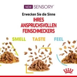 ROYAL CANIN SENSORY Smell In Gelee Für Wählerische Katzen 12x85g 12 ROYAL CANIN SENSORY Smell In Gelee Für Wählerische Katzen 12x85g -ROYAL CANIN Verkaufsgeschäft 4a632532d23d065e189b82401db5c561b6749e74 bbe7e159ee2cfcc0155771b211da953377ec5c40