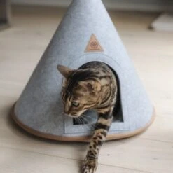 Canadian Cat Company Katzenzelt Cone -ROYAL CANIN Verkaufsgeschäft 5109d27ef761061b6b743871ab0498da3478f504 1394210 de DE f112ffaf078c6f8bf03764511a0d90aab2c21021HdDAgd