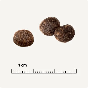 REAL NATURE WILDERNESS Adult Mixpaket Mixpaket 1, Mix-Pack 2 REAL NATURE WILDERNESS Adult Mixpaket Mixpaket 1, Mix-Pack – Bild 2