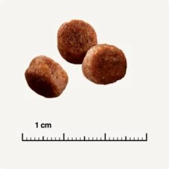 SELECT GOLD Sensitive Digestion Adult Geflügel Und Reis 2,5 Kg -ROYAL CANIN Verkaufsgeschäft 571cc49e96eaa29d93cdb9496136ed90f38f0ce7 1243347 de DE 6