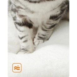 FEANDREA Kratzbaum 86cm Vintagebraun Dunkelgrau 12 FEANDREA Kratzbaum 86cm Vintagebraun Dunkelgrau -ROYAL CANIN Verkaufsgeschäft 59c8f7dbe684955dce05fd55642a4efbe0124a91 1483574 de DE cb5b6b9bf568cfcabae2338f3d74a869baf9bd1cxK0b3y