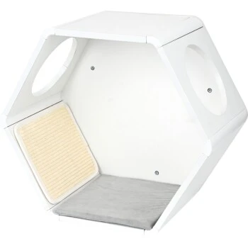 AniOne Wandhöhle 1 AniOne Wandhöhle