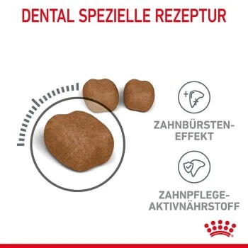 ROYAL CANIN Dental Care 3,5 Kg 7 ROYAL CANIN Dental Care 3,5 Kg – Bild 7