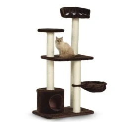 Silvio Design Kratzbaum Molly -ROYAL CANIN Verkaufsgeschäft 605cb6718cffe169f7a2cc35d6eeab7bd09ee96b 8eb10806c380c9957ce19d0fdef05ba9a0161050