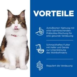 Neu eingetroffen -ROYAL CANIN Verkaufsgeschäft 6c4d856ad122ec5b63eaa934a8b5ebf0c0b4d341 52742047867 4