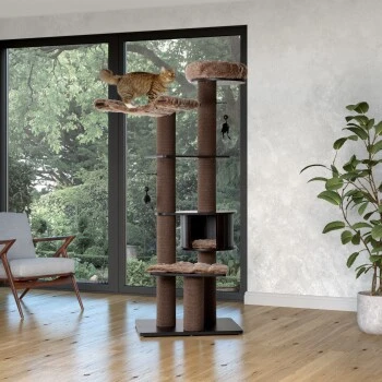 MORE Kratzbaum Harry 2 MORE Kratzbaum Harry – Bild 2