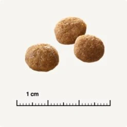 SELECT GOLD +12 Senior Geflügel & Reis 2,5 Kg 10 SELECT GOLD +12 Senior Geflügel & Reis 2,5 Kg -ROYAL CANIN Verkaufsgeschäft 6db53d99e99530132bf34d8482d69f423780c004 1081823016 de DE 6 1