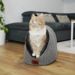 Schlitzohr Katzenhöhle Oskar Grau 18 Schlitzohr Katzenhöhle Oskar Grau -ROYAL CANIN Verkaufsgeschäft 6dc322d0c0c691311c750126461acbb0bfd7f106 1484676 de DE cf48f7f4d140da3e59fb3189e3029debd29d4937tKSJNT