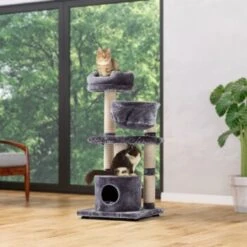 MORE Kratzbaum Boogie -ROYAL CANIN Verkaufsgeschäft 6f394cd1c7bfb91ba540a290c7662fa4793d8aa4 b967082ac54a6f1646295ce63a1fd93a460dd875