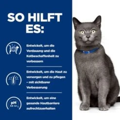 Hill's Prescription Diet D/d Food Sensitivities 3 Kg 12 Hill's Prescription Diet D/d Food Sensitivities 3 Kg -ROYAL CANIN Verkaufsgeschäft 715c2a71513f1156c0e6f5987afb0d86de83e8ad 52742047584 5