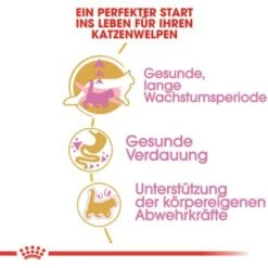 ROYAL CANIN Maine Coon Kitten 4 Kg 9 ROYAL CANIN Maine Coon Kitten 4 Kg -ROYAL CANIN Verkaufsgeschäft 762fe3d95c521f1c9aed31bc11ea5f813cb64625 48abad1c00ba32352c5f4e40b8a5a9d5e4dec65f