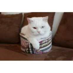 Canadian Cat Company Katzenschiff MAJA 9 Canadian Cat Company Katzenschiff MAJA -ROYAL CANIN Verkaufsgeschäft 766deb875332e5f5e0863d1a2d85001bb4ef9b90 1412668 de DE bd0dc038d80f4f0d2f7a8d881a21a125e897f0d3Dfo1wn