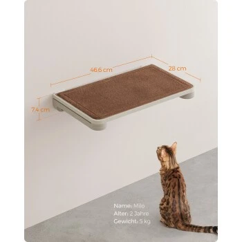 FEANDREA Clickat Katzenmöbel 3er Set, Für Die Wand 4 FEANDREA Clickat Katzenmöbel 3er Set, Für Die Wand – Bild 4