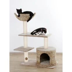 Kerbl Kratzbaum Banana Leaf Jade -ROYAL CANIN Verkaufsgeschäft 76da0e2291b796ed5e6d437459db13ca9d50faaa 9bb330ca7b7ab6e046ff929a6710ba8bd89b78aa