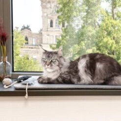 Canadian Cat Company Filzmatte Für Fensterbank Hellgrau S 9 Canadian Cat Company Filzmatte Für Fensterbank Hellgrau S -ROYAL CANIN Verkaufsgeschäft 7885f06a61233bc404e6a3aa7f8cd882fde8d497 1498575 de DE 613cf8659fcca6edb1e226239a406f420c510b04Tro7m3