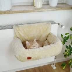 Schlitzohr Heizungsliege Lucky Beige -ROYAL CANIN Verkaufsgeschäft 7bab29708c56b6f70695735987b821094f74efb9 1484673 de DE 775053056e82816b2424b888f536a523a0880ea7ZfMupV