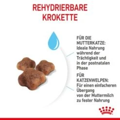 ROYAL CANIN Mother & Babycat 2 Kg 9 ROYAL CANIN Mother & Babycat 2 Kg -ROYAL CANIN Verkaufsgeschäft 7de9161ec8af5d8e5fb59d6589cba97c3ecae1bf 3182550707329 5