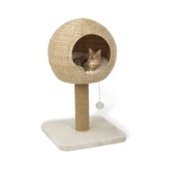 AniOne Kratzbaum Taro 9 AniOne Kratzbaum Taro -ROYAL CANIN Verkaufsgeschäft 8015d7b4c0183292da7990dff25b7ff1c97f7ca6 4661a3fe35a0d785da64c78b80181fd4eec21218