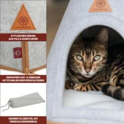 Canadian Cat Company Katzenzelt Cone -ROYAL CANIN Verkaufsgeschäft 809a3c44a93f6813e3f594a392c884994f2cb8be 1394210 de DE c6578ffbb5eb34e2b0106dd76bcafeaede82606a8Hawov