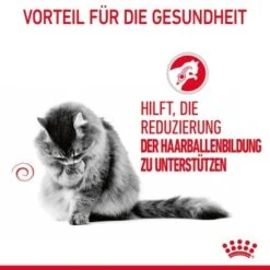 ROYAL CANIN Hairball Care 12 X 85 G 15 ROYAL CANIN Hairball Care 12 X 85 G -ROYAL CANIN Verkaufsgeschäft 81812c97ef6be37b8d0c7dab9df24712cfb21604 1229818 4