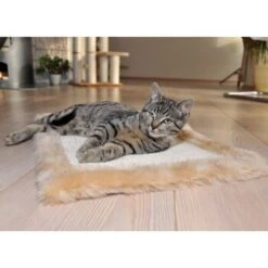 Silvio Design Möbelschoner 50 Cm, 35 Cm, 2 Cm -ROYAL CANIN Verkaufsgeschäft 8a73e6a08fdc9580c25fdec07cbc7957a9497914 67b116e5d0fbd6480fe2fcc0e5fc0dea58615d8d